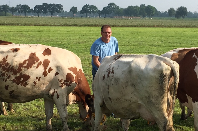 Ton van Hest